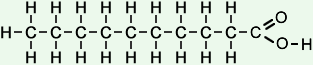 What is capric acid